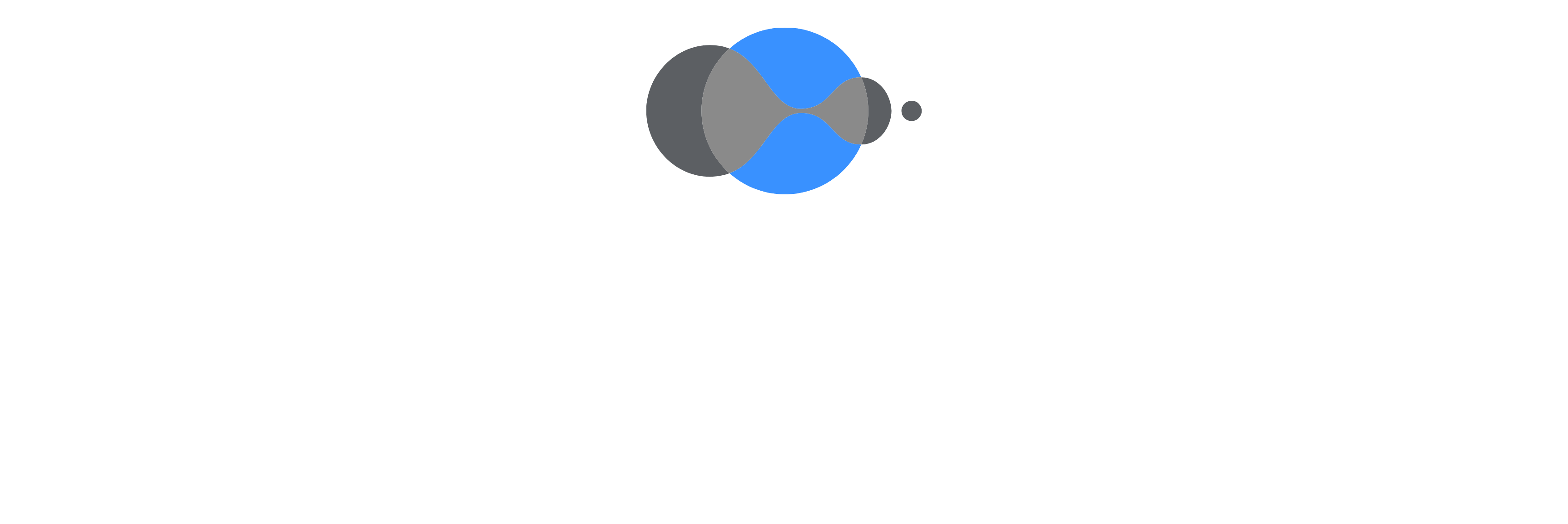Lippmann – Schmierstoffe & Chemikalien