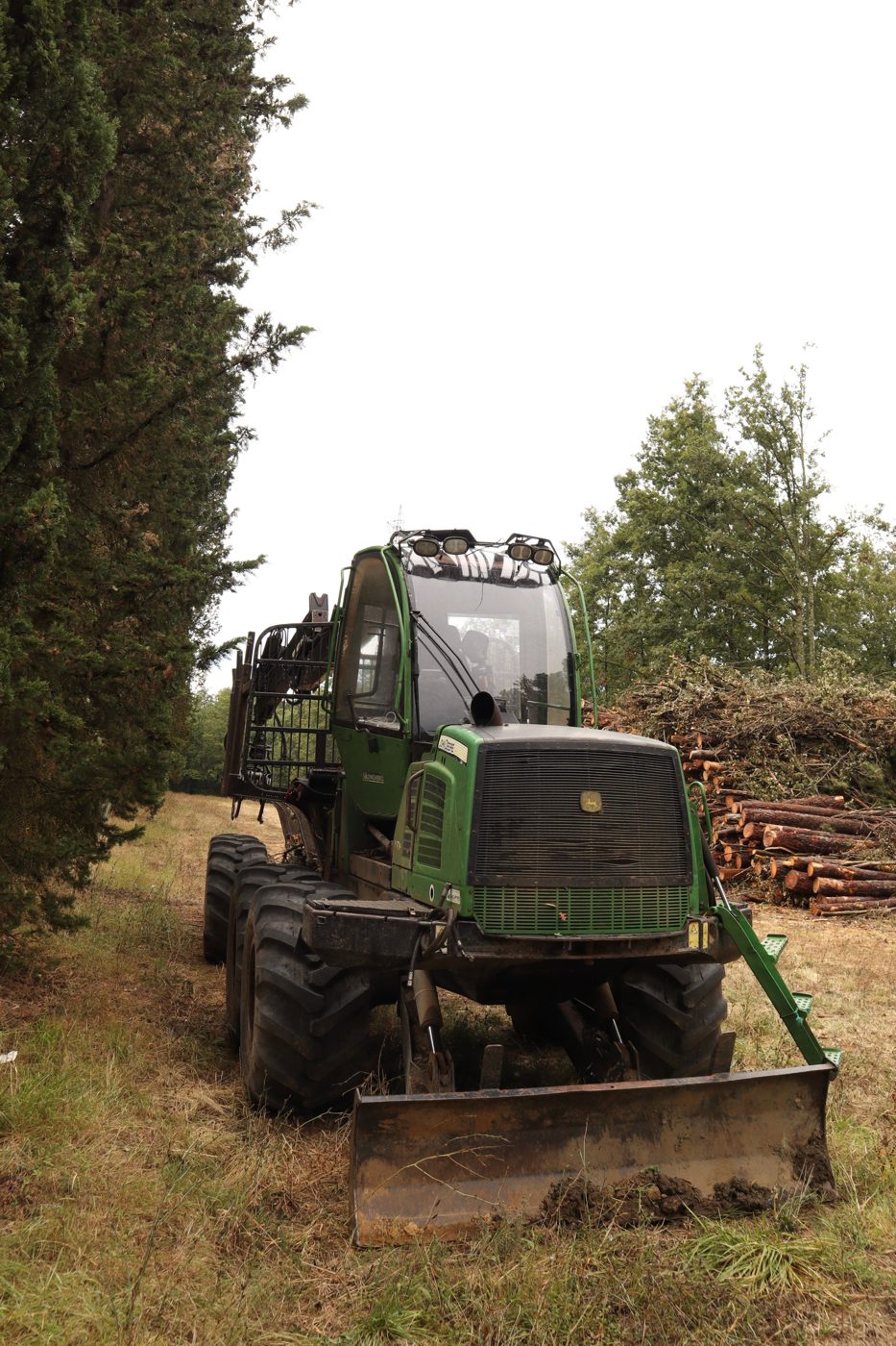 John-Deere-Forwarder am Waldrand vor gestapeltem Rundholz